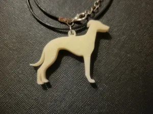 Dog Breeds Collection #24 - Greyhound