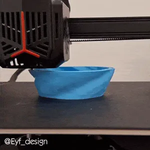 Whirlpool Bowl