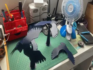 Another Eagle!