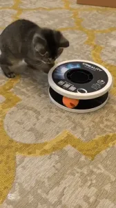 Cat TOYS Creality