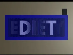 Fridge Magnet Display (2 step Moiré Effect)