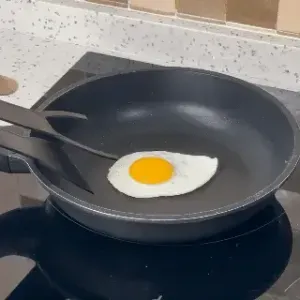 Egg Flipper 1.0