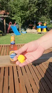 The real bottle cap