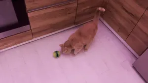 Cat treat-dispenser toy