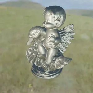 the swan and the child