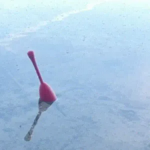 Fishing float