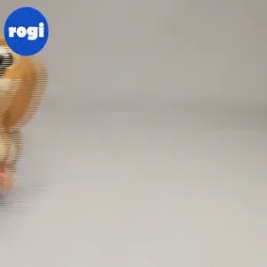 SAUSAGE DOG