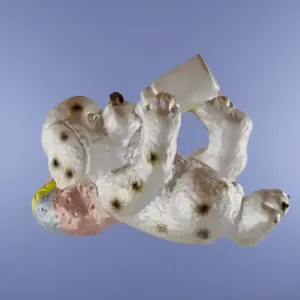 Dog taking the bottle
