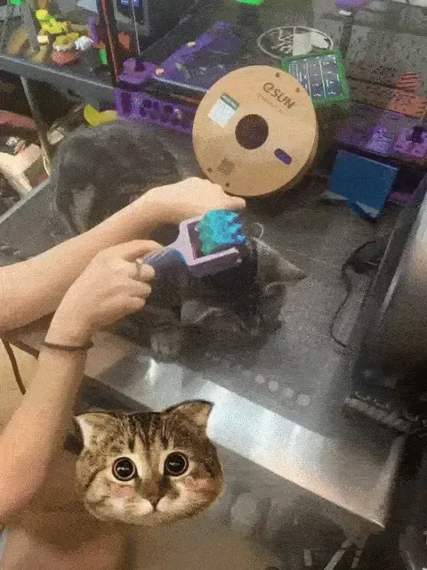 Cat Massager v02 (LOW POLYGON)
