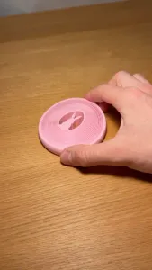Easter Egg with Bunny Fidget Toy