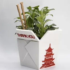 Chinese Takeout Box