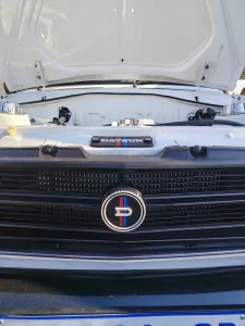Datsun badge