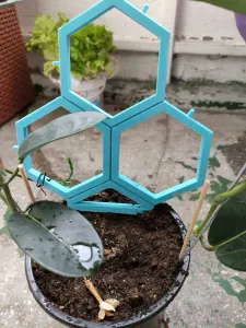 Modular trellis system for climbing 🧗♀️ plants 🌿