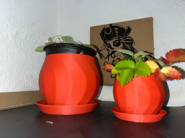 A flower pot with a saucer — Фото 4 из 9