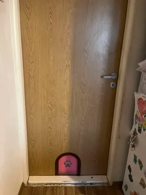Cat door — Image 3 of 9