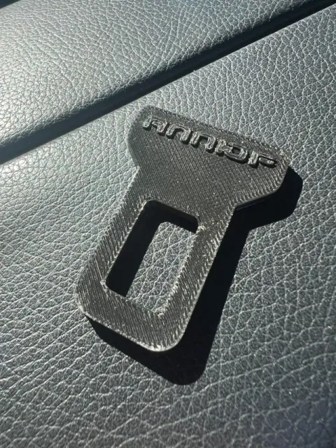 Seat Belt Plug