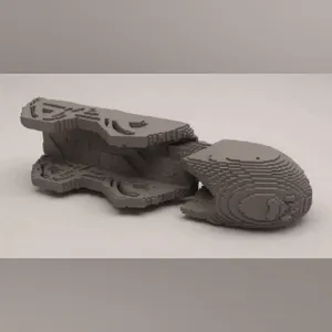 PET VOXEL CONFORMITY CAST