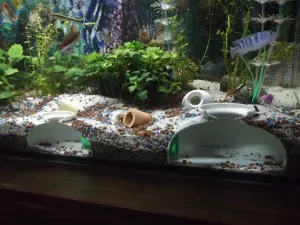 Modular Aquarium Tunnel System (Expandable)
