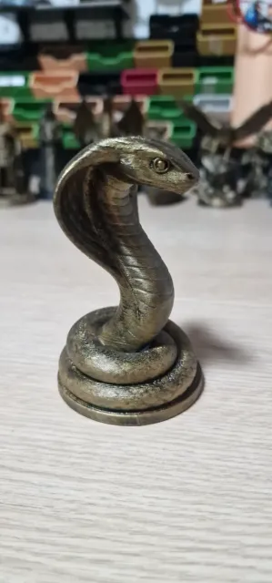 cobra snake — Фото 4 из 7