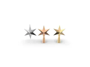 Star Christmas Tree Topper and Ornament