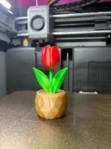 Elegant Tulip in Pot – Decorative Flower