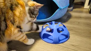 Cat Treat Ball Puzzle