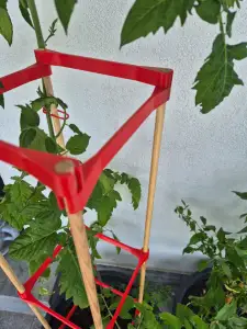 Potted Plant Support