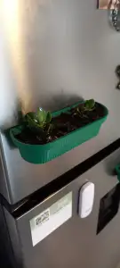 Long magnetic pot plant