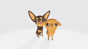 Dog chihuahuas