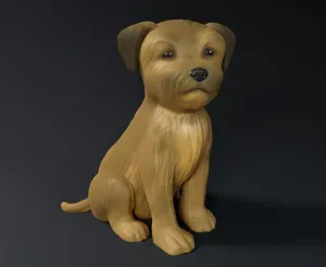 Cute Border Terrier Puppy