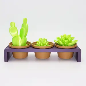 Cactus Pot Plants V2