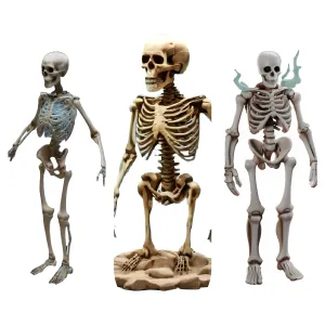 Poseable Skeleton Figurine