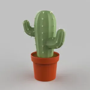 Cactus