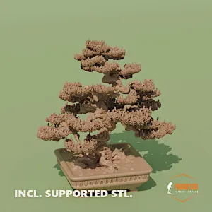 Bonsai tree 5