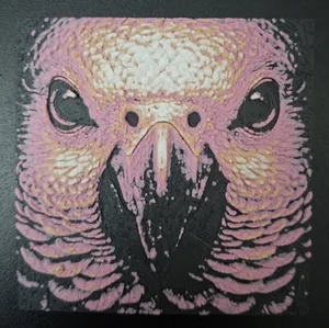 HueForge - Parrot