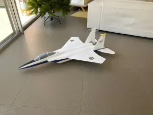 McDonnell Douglas F-15D Eagle 800mm EDF Flyable RC Jet