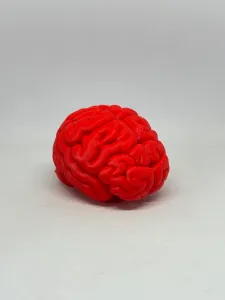 大脑