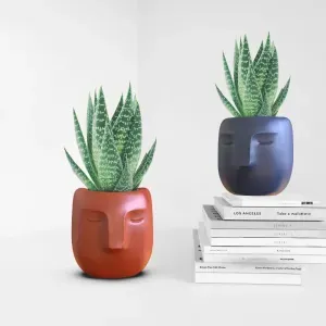 Face Planter, 3D Head Plant Pot, Minimalist Cute Flower Pot