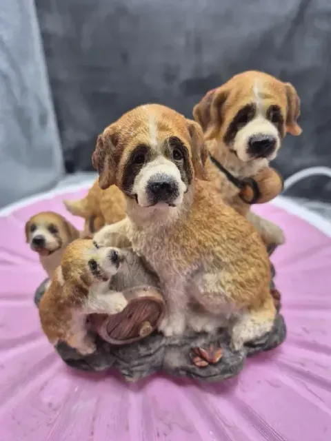 Family of St. Bernard Dogs — Фото 7 из 9