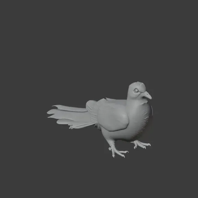 Bar-tailed cuckoo-dove — Image 2 of 7