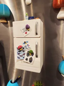 The Magnetic Door Fridge Magnet Refrigerator Magnet
