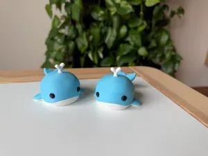 Sea Animals