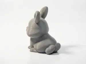 Rabbit