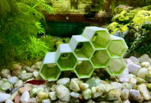 Garnelen- und Jungfischversteck "Honeycomb"