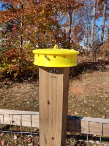 hanging bee pollen feeder