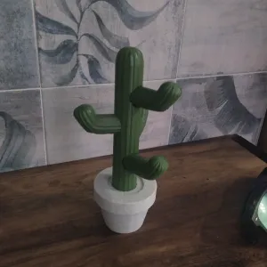 Cactus for keys