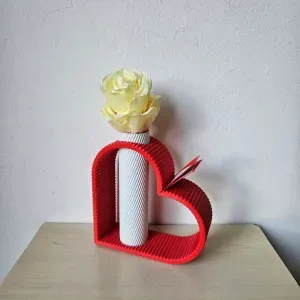 Valentine's Day gift