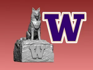 NCAA - Washington Huskies Mascot Statue - 3D Print