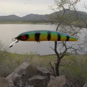 Custom bait