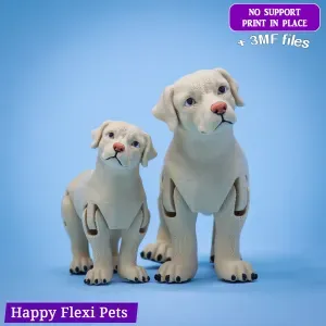 Labrador retriever dog flexi toy 31 v2026 (SNAP + 3MF)